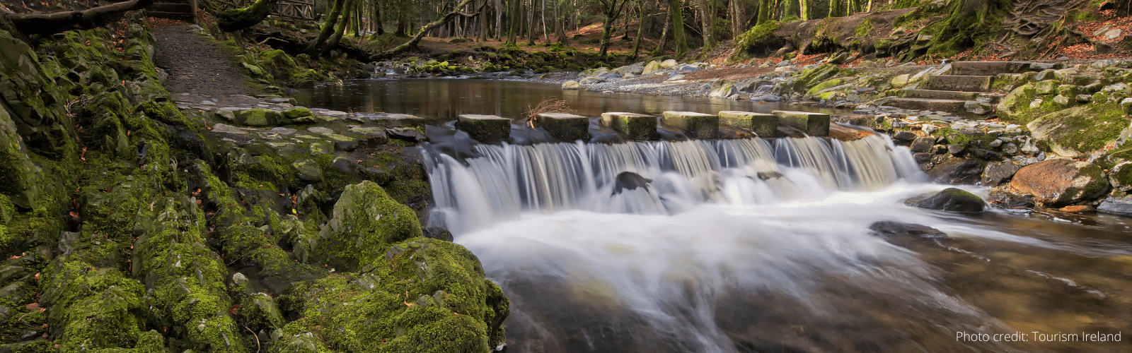 Tollymore Forest Park - We are forever inspired by the beauty the Emerald Isle has to offer! And our Apothecary candles take from this inspiration and we go back to the basics of naturaly inspired scents.