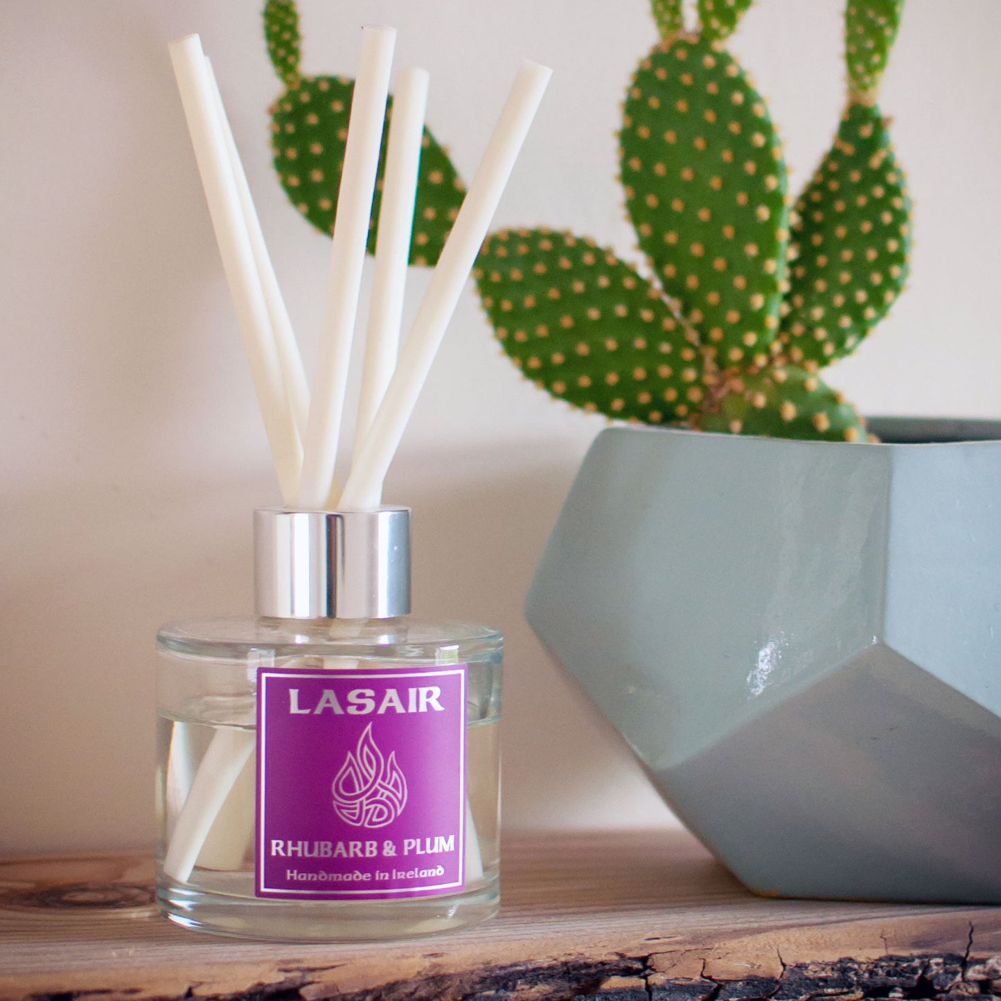 Rhubarb & Plum Diffuser